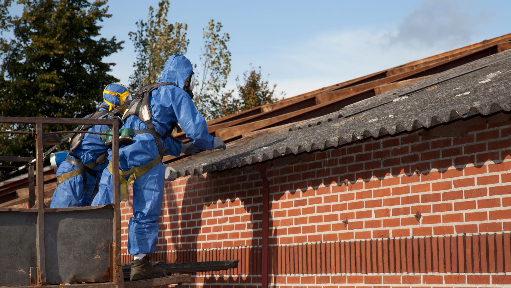 Do You Need an Asbestos Report in Florida? - milestonearea.com